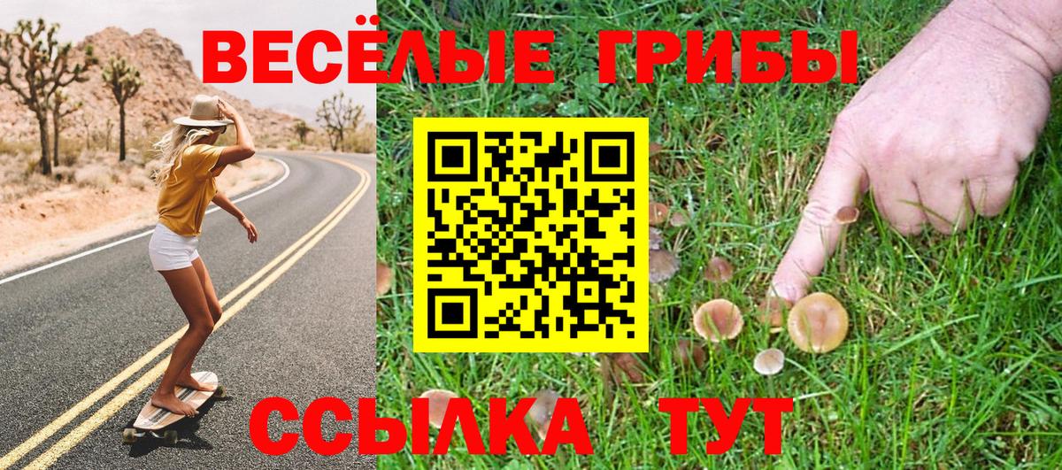 Галлюциногенные грибы мухоморы Дальнереченск